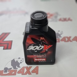 motul-300v-factory-line-car...