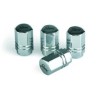valve caps