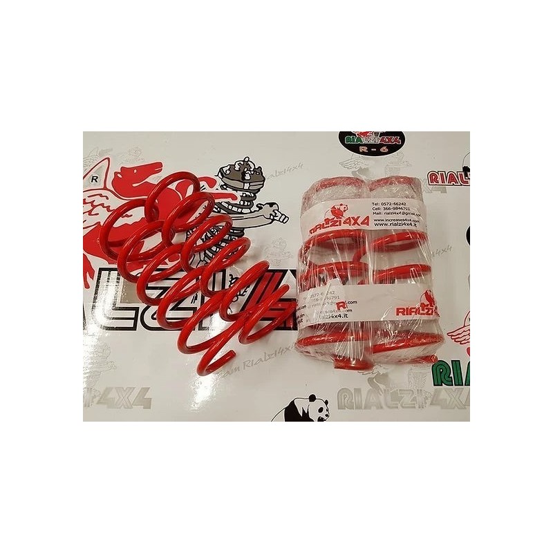 replacement-rear-springs-for-panda-4x4-methane-lpg-last-series-from-2013