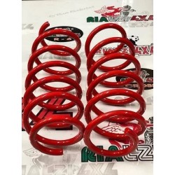 front-springs-panda-2wd-last-series-from-2013-raised-3-cm