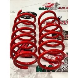 front-springs-for-panda-4x4-last-series-from-2013-raised-2-5-cm