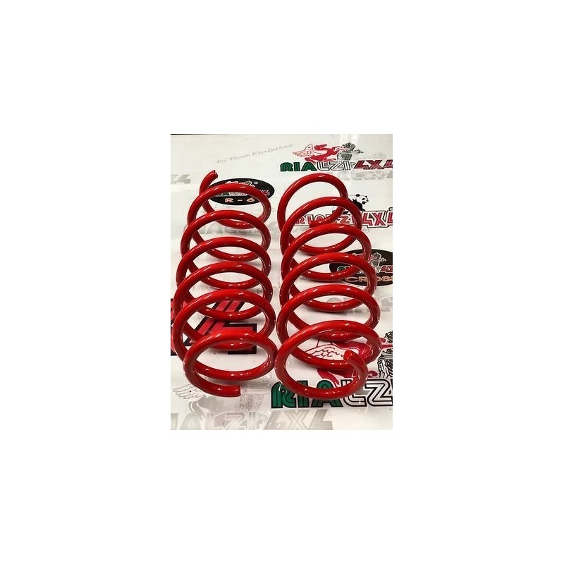 front-springs-for-panda-4x4-last-series-from-2013-raised-3-cm