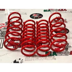 kit-4-springs-panda-2wd-las...