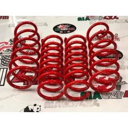 kit-4-springs-panda-2wd-las...