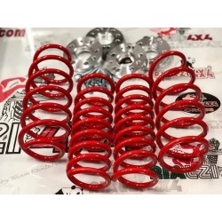 kit-4-springs-for-panda-4x4-cross-second-series-from-2003-to-2013-raised-3-cm-far