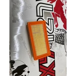 air-filter-panda-141-first-...