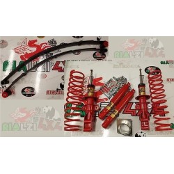 complete-kit-leaf-springs-f...