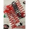 front-springs-panda-2wd-first-series-from-1980-to-2003-raised-5-cm