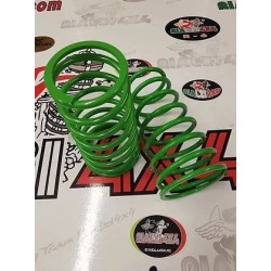 rear-springs-extreme-panda-2wd-first-series-from-1980-to-2003-height-4-cm