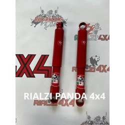 3-cm-raised-rear-shocks-pan...