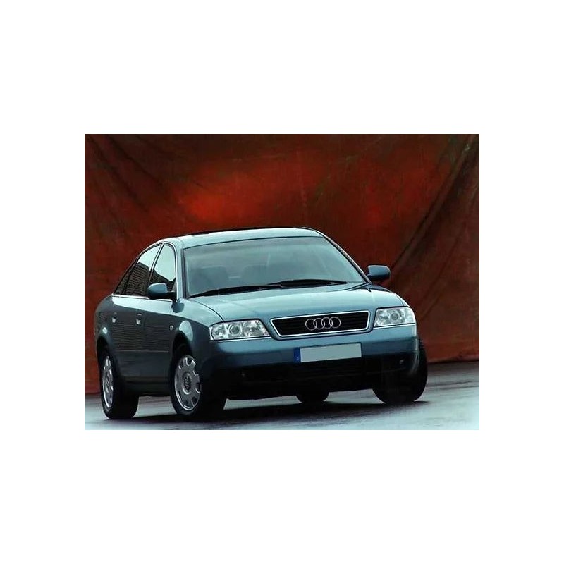 coppia-di-ammortizzatori-posteriori-audi-a6-1997-2005