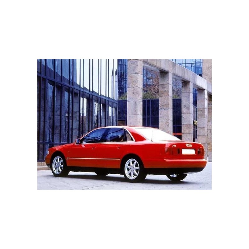 coppia-di-ammortizzatori-posteriori-audi-a8-1994-2002