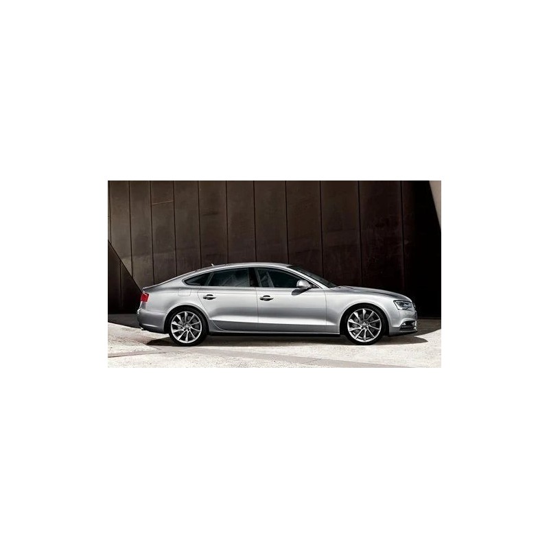 coppia-di-ammortizzatori-anteriori-audi-a5-2007-2017