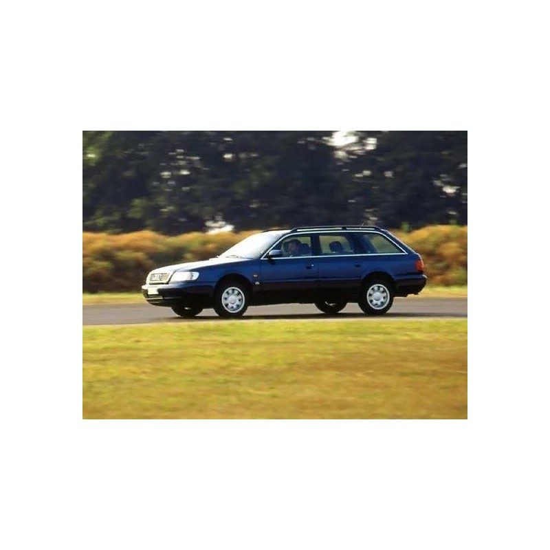 coppia-di-ammortizzatori-posteriori-audi-a6-1994-1998